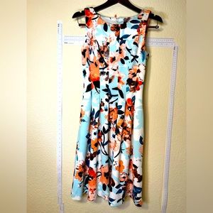 Ivanka Trump Dress Size 4